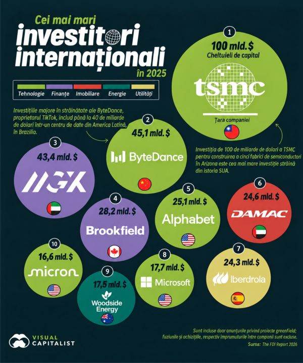TSMC and ByteDance - The World's Largest Foreign Investors